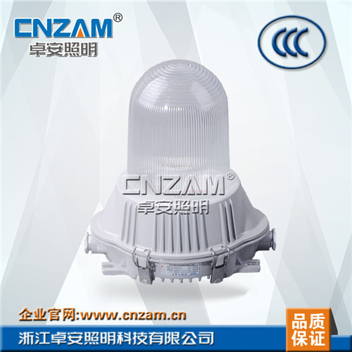 ZGF601(NFC9180)（GC101) 防眩泛光灯-1