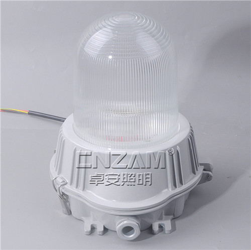 ZGE601 (NFE9180) 防眩应急泛光灯-2