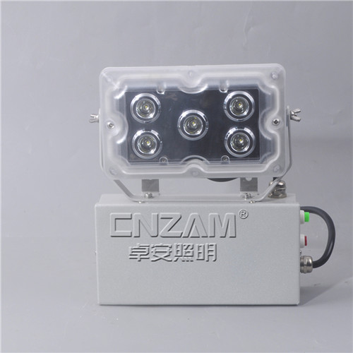 ZGE203(NFE9178)（GAD605-J）应急照明壁灯-2