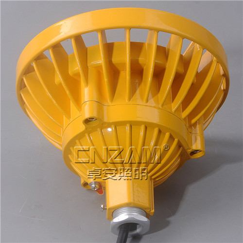 ZBD101-I LED免维护防爆灯-3