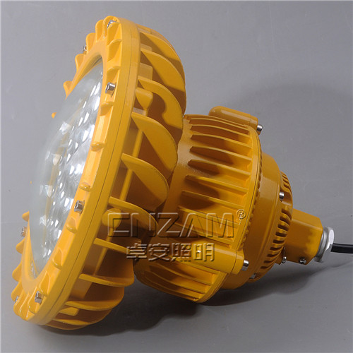 ZBD102-II LED免维护防爆泛光灯-4