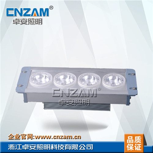 ZGE202 LED应急顶灯(NFE9121)-浙江卓安照明科技有限公司