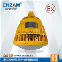 ZBD104-I  LED免维护防爆灯